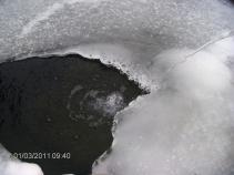 foto/forum/2011/th-img16081.jpg