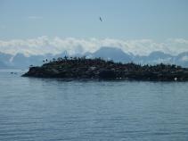 foto/forum/2011/th-img16086.jpg