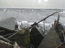 foto/forum/2011/th-img16109.jpg