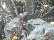 foto/forum/2011/th-img16110.jpg