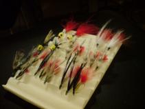 foto/forum/2011/th-img16136.jpg