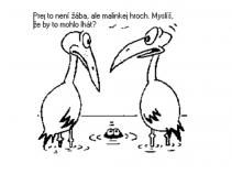 foto/forum/2011/th-img16141.jpg
