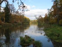 foto/forum/2011/th-img16154.jpg