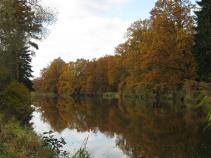 foto/forum/2011/th-img16156.jpg