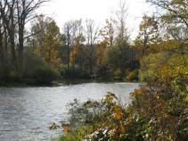 foto/forum/2011/th-img16160.jpg