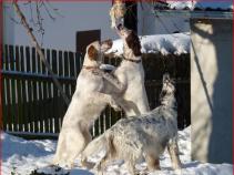 foto/forum/2011/th-img16246.jpg
