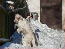 foto/forum/2011/th-img16248.jpg