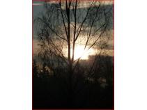 foto/forum/2011/th-img16257.jpg