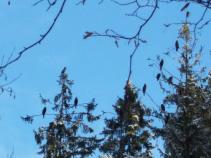 foto/forum/2011/th-img16286.jpg