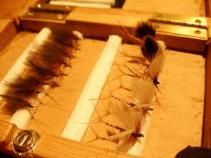 foto/forum/2011/th-img16402.jpg