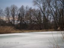 foto/forum/2011/th-img16413.jpg