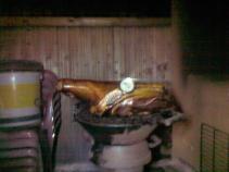 foto/forum/2011/th-img16453.jpg