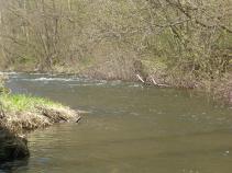 foto/forum/2011/th-img16454.jpg