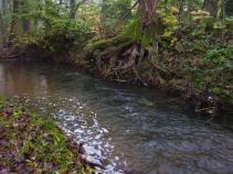 foto/forum/2011/th-img16455.jpg