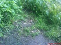 foto/forum/2011/th-img16457.jpg