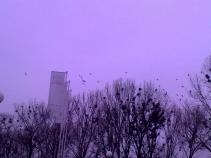 foto/forum/2011/th-img16503.jpg