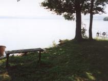 foto/forum/2011/th-img16549.jpg
