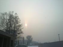 foto/forum/2011/th-img16593.jpg
