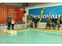 foto/forum/2011/th-img16629.jpg