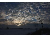 foto/forum/2011/th-img16631.jpg