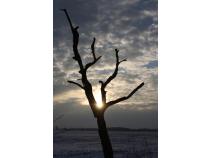 foto/forum/2011/th-img16638.jpg