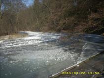 foto/forum/2011/th-img16652.jpg