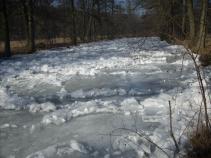 foto/forum/2011/th-img16653.jpg