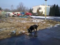 foto/forum/2011/th-img16654.jpg