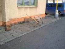 foto/forum/2011/th-img16656.jpg