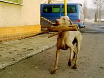foto/forum/2011/th-img16657.jpg