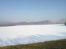 foto/forum/2011/th-img16662.jpg