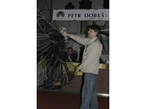 foto/forum/2011/th-img16694.jpg