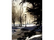 foto/forum/2011/th-img16784.jpg