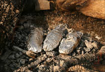 foto/forum/2011/th-img16856.jpg