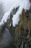 foto/forum/2011/th-img16875.jpg
