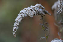 foto/forum/2011/th-img16876.jpg