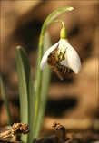 foto/forum/2011/th-img17015.jpg