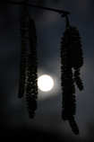 foto/forum/2011/th-img17097.jpg