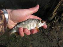 foto/forum/2011/th-img17104.jpg