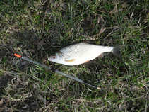 foto/forum/2011/th-img17110.jpg