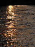 foto/forum/2011/th-img17122.jpg