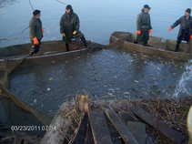 foto/forum/2011/th-img17137.jpg