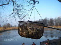 foto/forum/2011/th-img17138.jpg
