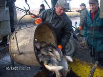 foto/forum/2011/th-img17139.jpg