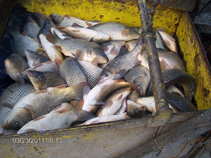 foto/forum/2011/th-img17140.jpg
