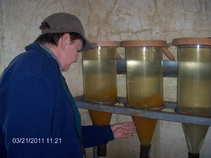 foto/forum/2011/th-img17149.jpg