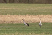 foto/forum/2011/th-img17155.jpg
