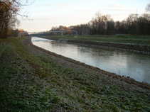 foto/forum/2011/th-img17174.jpg