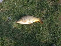 foto/forum/2011/th-img17207.jpg