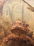 foto/forum/2011/th-img17208.jpg